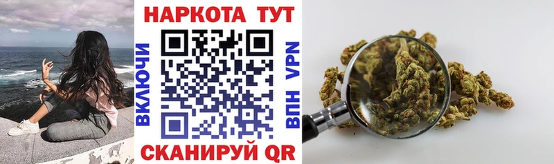 Конопля Подпорожье