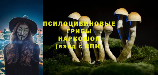 соль курить ск Ветлуга